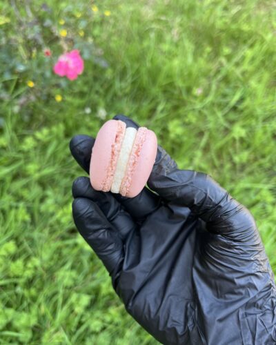 Macarons Rose