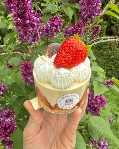 Fraisier individuel